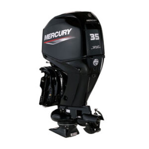 Mercury Jet 35hp outboard engine 38649.1663371057