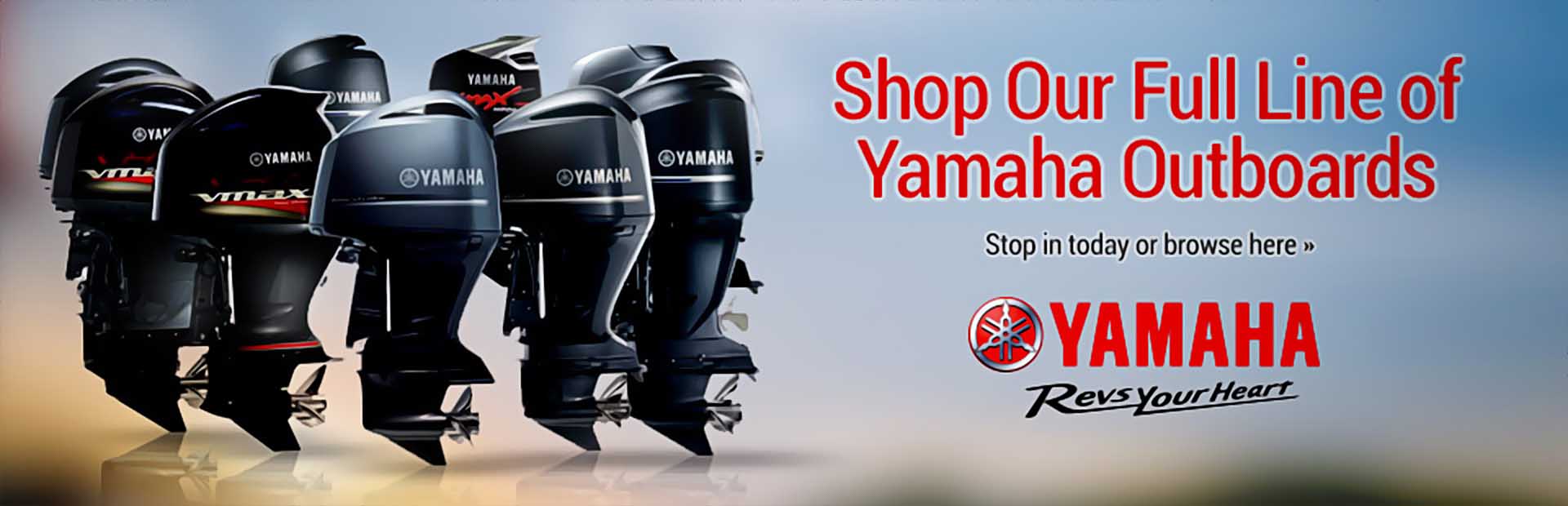 Yamaha Marine Service Pro Lite